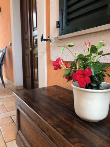 Il Giardino Delle Rose Apartment Spello Exterior foto