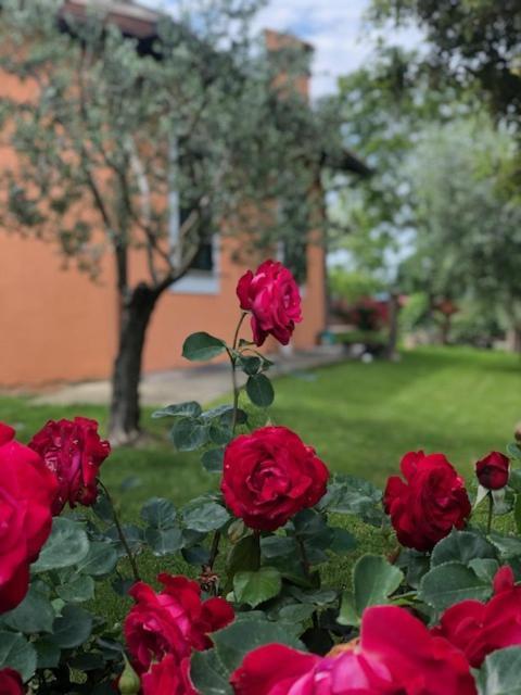 Il Giardino Delle Rose Apartment Spello Exterior foto